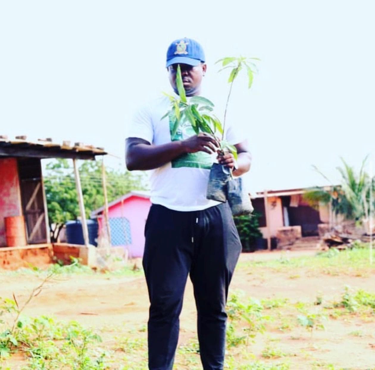 Tree planting