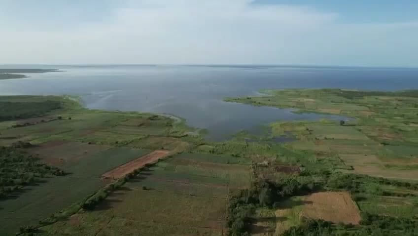 Aerial view of farmland meeting the Afram arm of the Volta Lake